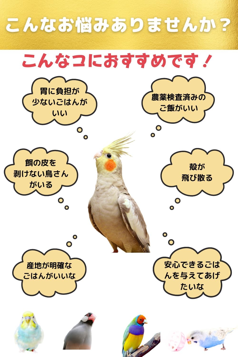 鳥さんのごはん 獣医さん推薦 栽培時農薬不使用 農薬検査済み インコの餌 500g 初回購入とレビューで150円引きクーポン