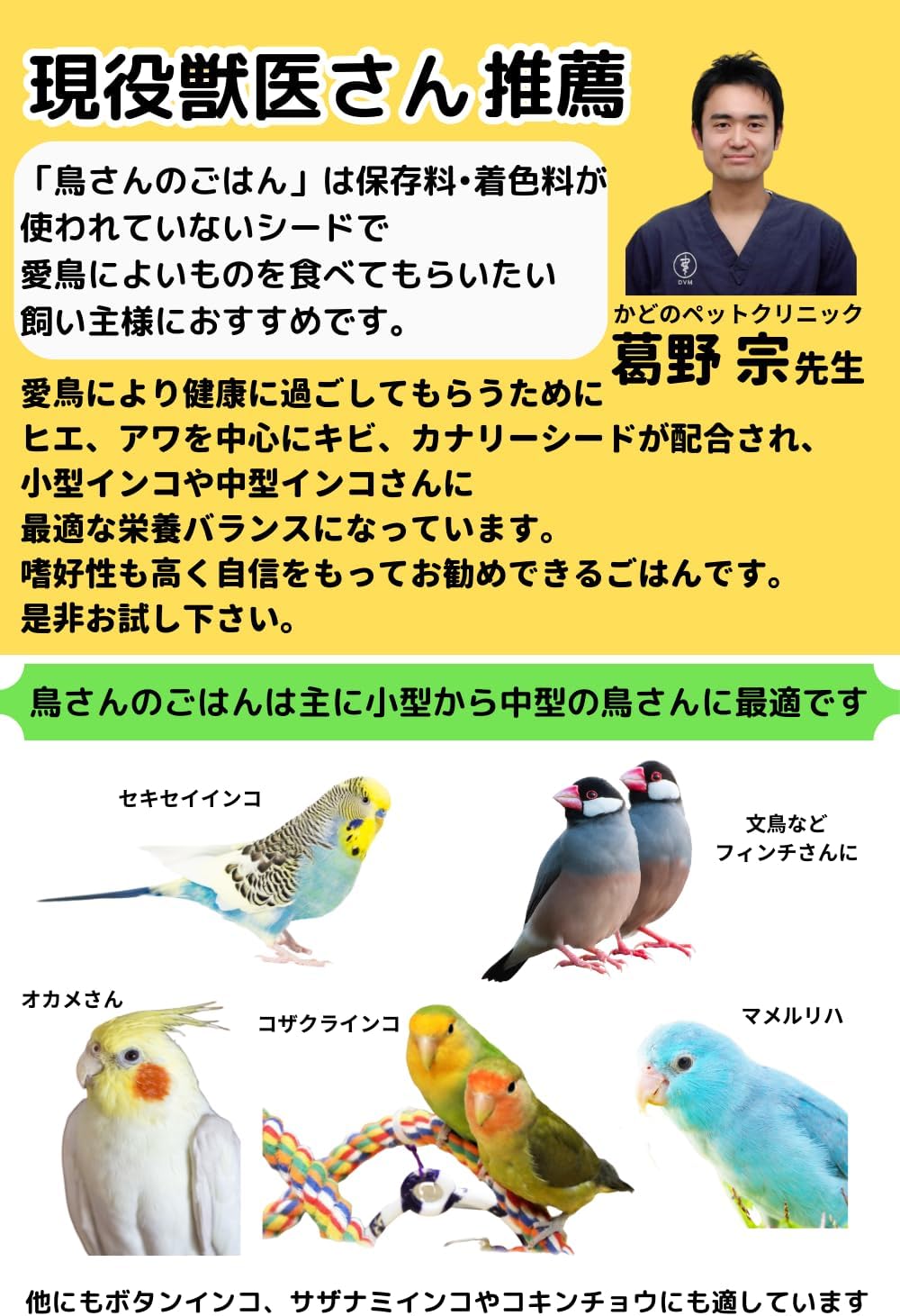鳥さんのごはん 獣医さん推薦 栽培時農薬不使用 農薬検査済み インコの餌 500g 初回購入とレビューで150円引きクーポン