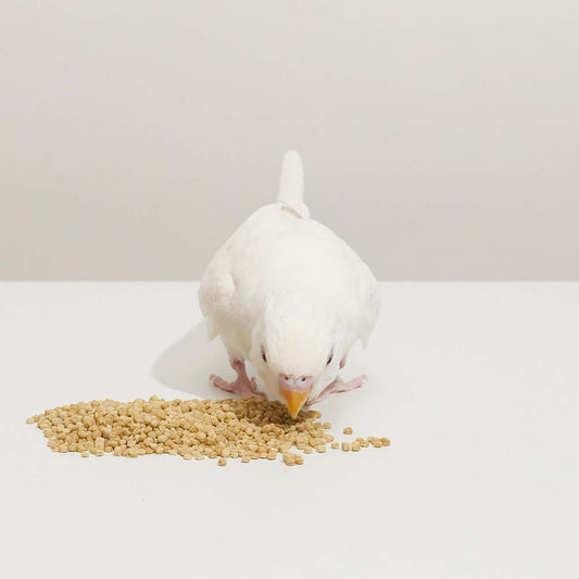 ハリソン ハイポテンシー スーパーファイン 454g