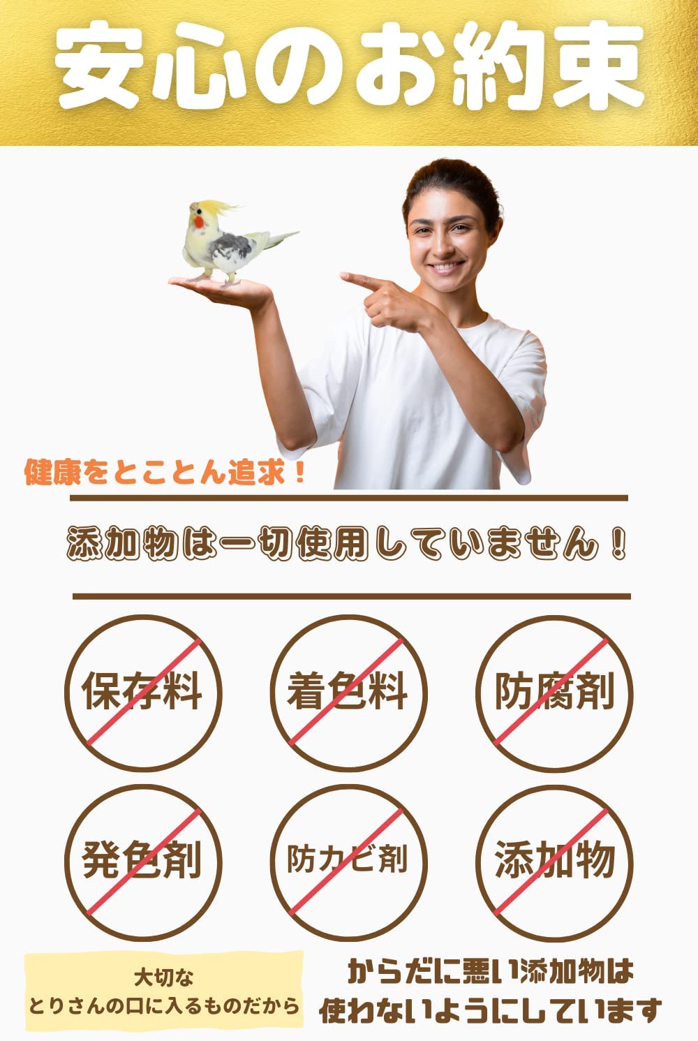 鳥さんのごはん 獣医さん推薦 栽培時農薬不使用 農薬検査済み インコの餌 500g 初回購入とレビューで150円引きクーポン