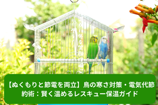 【ぬくもりと節電を両立】鳥の寒さ対策・電気代節約術：賢く温めるレスキュー保温ガイド