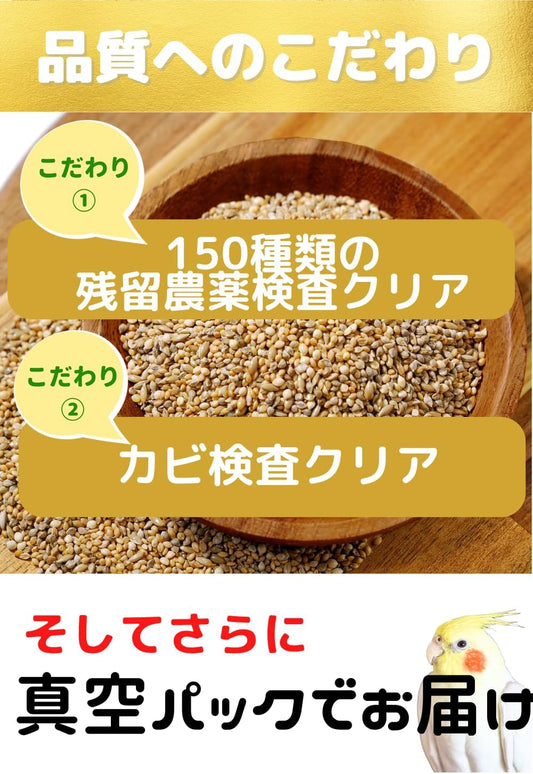 鳥さんのごはん 獣医さん推薦 栽培時農薬不使用 農薬検査済み インコの餌 500g