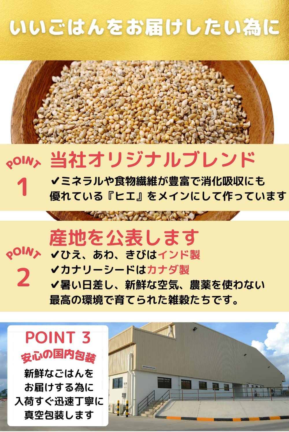 鳥さんのごはん 獣医さん推薦 栽培時農薬不使用 真空パック包装 インコ